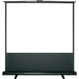 100″ Projector Screen